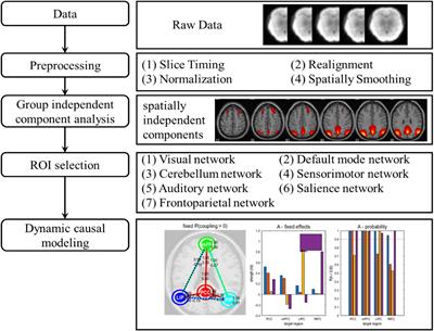 Frontiers | Attenuated Effective Connectivity Of Large-scale Brain ...